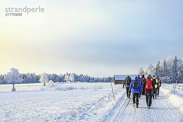 Gruppe von Menschen  die an einem kalten Wintertag auf einer verschneiten Straße in einer winterlichen ländlichen Landschaft spazieren gehen  Schweden  Europa