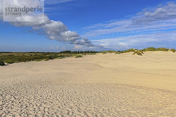 Rabjerg Mile  a large shifting dune inland in the north of Denmark