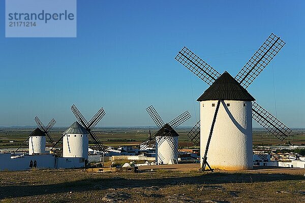 Gruppe von weißen Windmühlen vor einer weiten Landschaft unter blauem Himmel  Campo de Criptana  Provinz Ciudad Real  Kastilien-La Mancha  Route des Don Quijote  Spanien  Europa