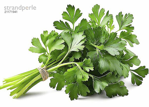 Parsley bunch isolated on white background with clipping path and full depth of field