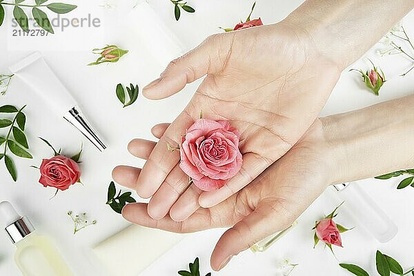 Rose buds in caucasian model hands on white background with cosmetic bottles tubes and droppers