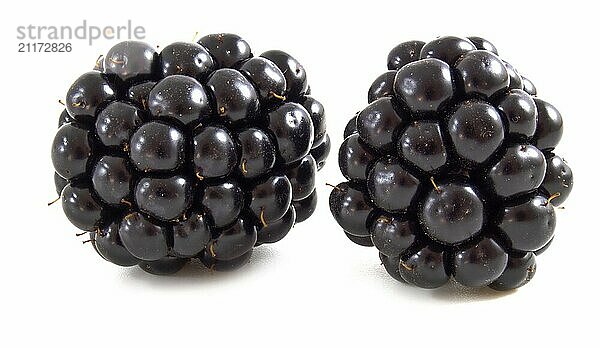 Fresh ripe blackberries isolated on white background. Berries up close