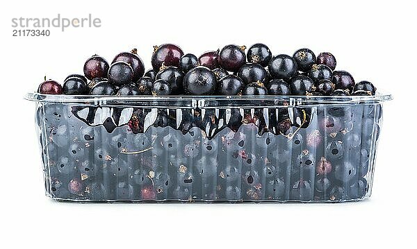 Black currant in container isolated on a white background