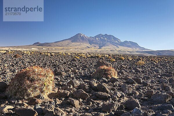 Atacama Wüste  Chile  Anden  Südamerika. Schöne Aussicht und Landschaft  Südamerika