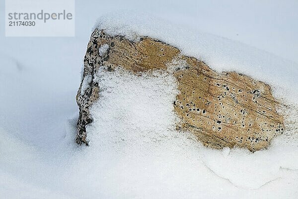 Snow-covered stone  Fargefjellet  Snaddvika Bay  Murchisonfjord  Svalbard and Jan Mayen  Norway  Svalbard archipelago  Europe