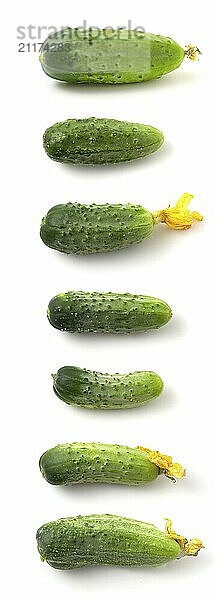 Collection of young green cucumbers isolated on white background. Set of several photos of fresh gherkin