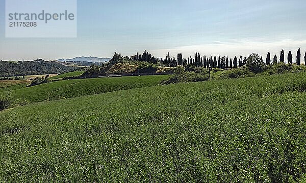 Schöne toskanische ländliche Landschaft Atmosphäre. Italien