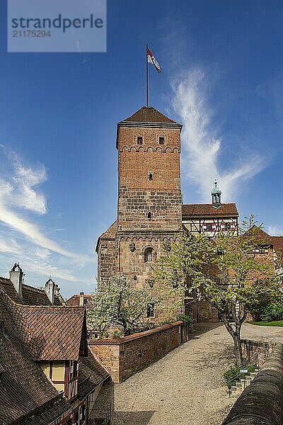 View of Nuremberg Castle  Germany  Europe