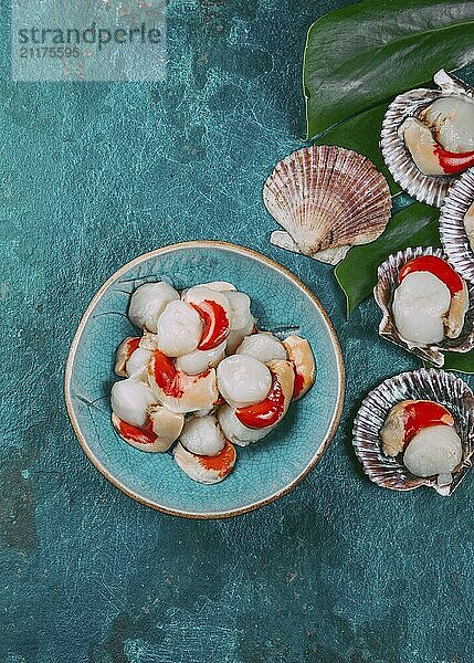 Food  Raw fresh seafood shellfish scallops on blue background