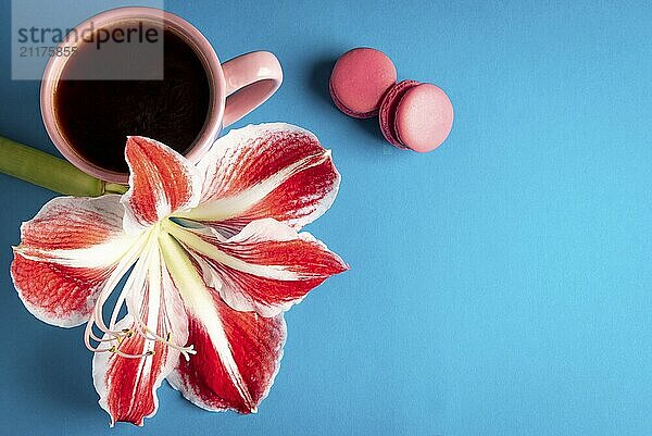 Pink macaroons  a big red and white flower and a pink cup of coffee on a blue background. Top view with copy space. Minimalist breakfast context