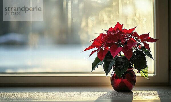 Ein roter Weihnachtsstern steht in einer roten Vase auf einer Fensterbank. Das Sonnenlicht scheint auf die Pflanze und lässt sie lebendig und strahlend aussehen. Konzept von Wärme und Fröhlichkeit AI erzeugt  KI generiert