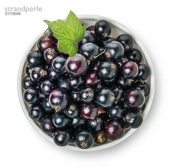 Bowl of black currant isolated on a white background  top view