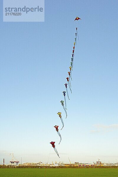 Many colourful wind birds in the blue sky  Drachenwiese  Norddeich  North Sea  Lower Saxony  Germany  Europe