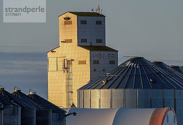 Prairie Winter in Saskatchewan Canada scenic view rural