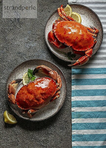 Food  Food  Whole cooked crabs on white plate with lemon and beer. Gray concrete background. Top view