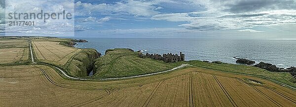 Slains Castle  castle ruins on the cliffs  drone shot  Cruden Bay  Peterhead  Aberdeenshire  Scotland  Great Britain