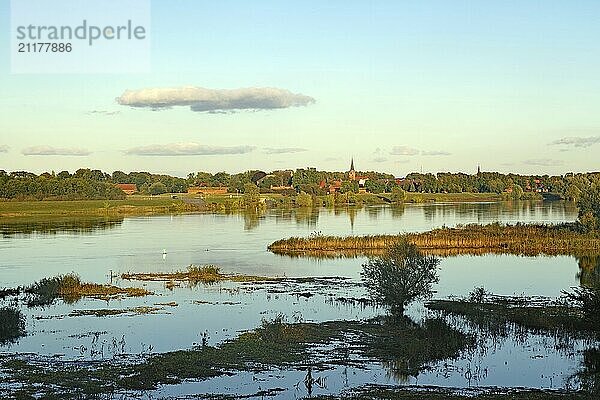 River landscape with view of small town  trees and church tower in the evening light  Dömitz  Elbe  Brandenburg  Germany  Europe