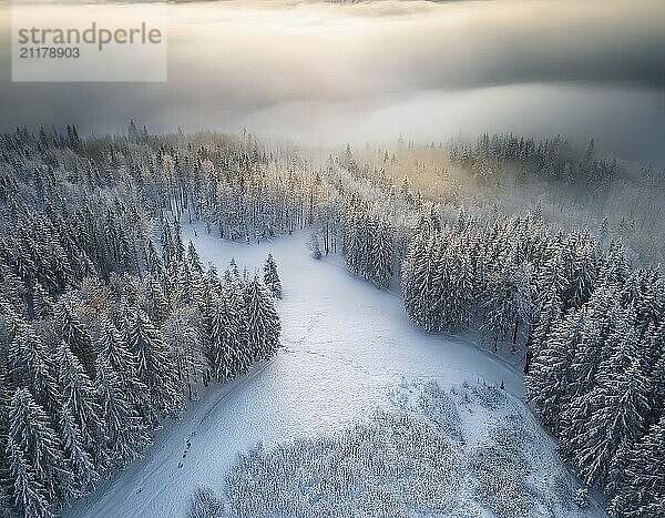 Epic winter landscape of a forest with clearing in the fog in winter  symbol image drone shot  AI-generated image  AI generated