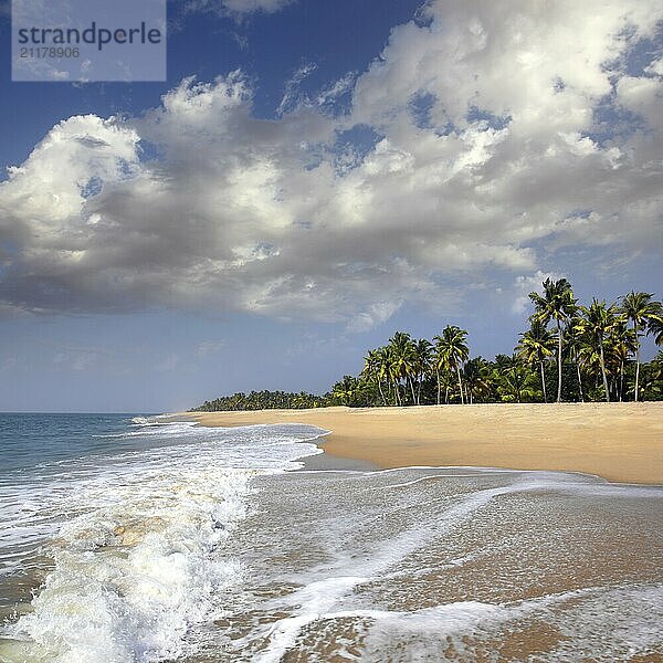 Beautiful beach landscape  ocean in India