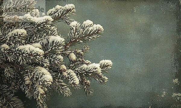 Snow-covered pine branches against a textured blue background AI generated