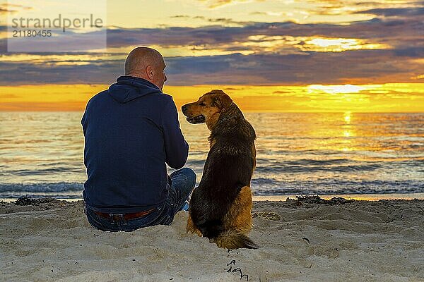 Mann  Hund  sitzend  nebeneinander  Kommunikation  Mensch  Tier  Sonnenuntergang  Strand  Atlantik  Lofoten  Norwegen  öffentlicher Grund  Europa