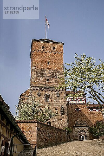 View of Nuremberg Castle  Germany  Europe