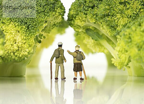 Miniature figures older people walking on broccoli trees isolated on white