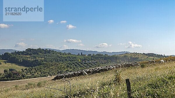 Schöne toskanische ländliche Landschaft Atmosphäre. Italien