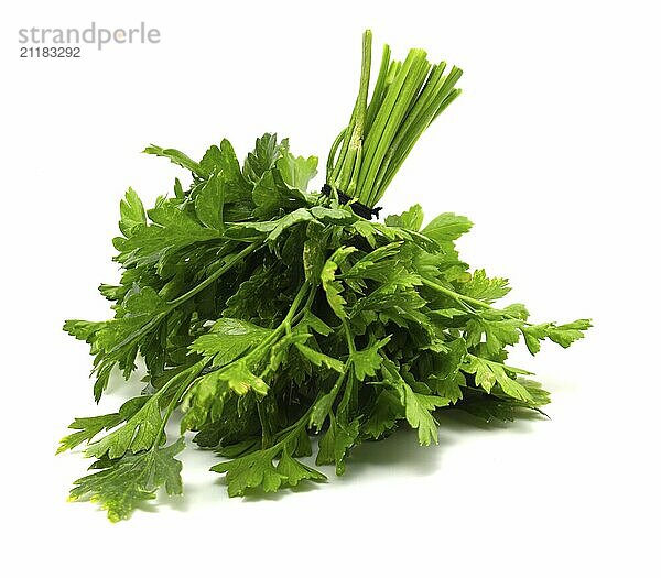 A bouquet of fresh green parsley on a white background