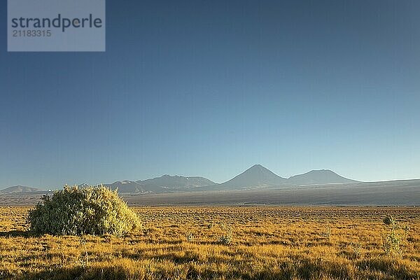 Atacama Wüste  Chile  Anden  Südamerika. Schöne Aussicht und Landschaft  Südamerika