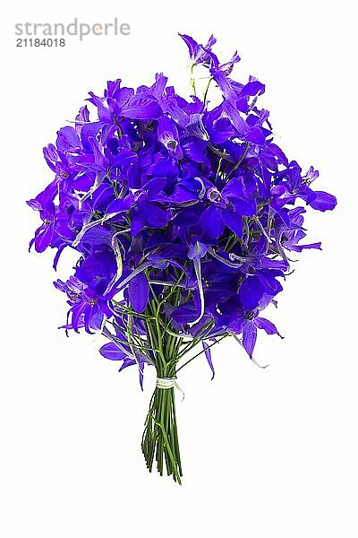 Bouquet of purple flowers on a white background