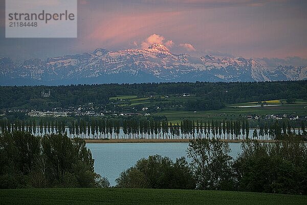 Mountain panorama at dusk  snow-covered peaks  villages and rows of poplars on the lakeshore  with the Säntis in the Alpstein quiet and idyllic atmosphere  Reichenauallee  Allensbach  Lake Constance  Baden-Württemberg  Germany  Europe