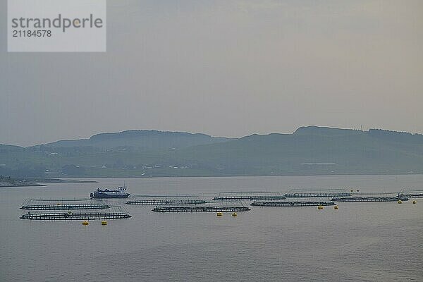 Quiet sea fish farm  salmon farming  Bergen  North Sea  Norway  Europe