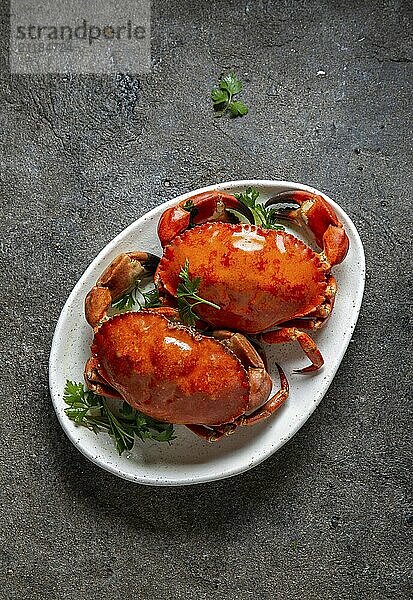 Whole cooked crabs on white plate with lemon and beer. Gray concrete background. Top view