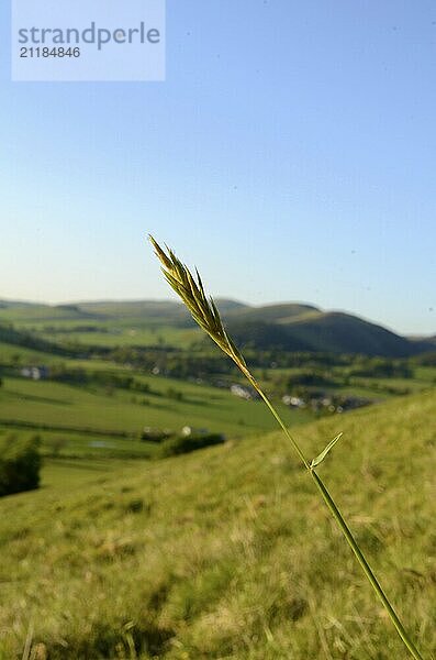 Schöne ländliche Landschaft der Scottish Borders im Abendlicht