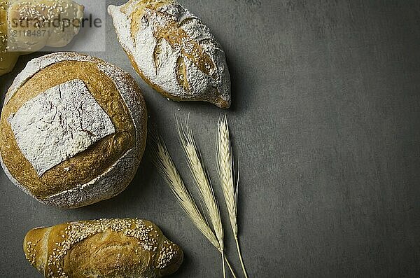 Beautiful Sourdough bread on gray background with dried wheat flower