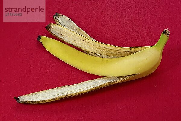 Banana peel skin lies on a red background. Organic fruit residues after cleaning