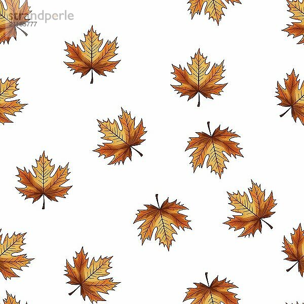 Maple leaves  seamless pattern on a white background