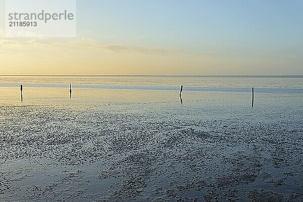 Evening mood on the Wadden Sea at low tide  North Sea  Norddeich  Lower Saxony  Germany  Europe