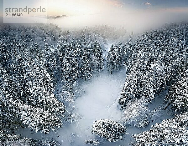 Epic winter landscape of a forest with clearing in the fog in winter  symbol image drone shot  AI-generated image  AI generated