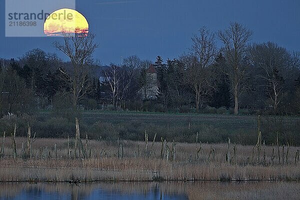 A full moon appears over a misty highland with visible trees on the horizon  view into the Randow loop of the river Peene in the evening light at moonrise  wetland biotope with reeds  Flusslandschaft Peenetal nature park Park  Mecklenburg-Western Pomerania  Germany  Europe