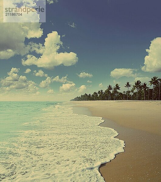 Beautiful beach landscape with ocean  vintage retro style