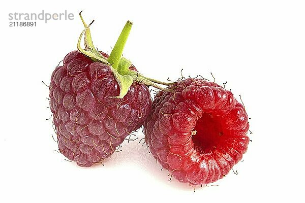 Two raspberries isolated on white background. Fresh berries close-up