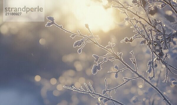 Ein mit Frost und Schnee bedeckter Zweig. Die Sonne scheint auf den Zweig und schafft eine schöne und heitere Szene AI erzeugt  KI generiert