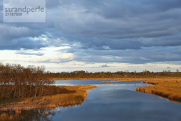 A river surrounded by reeds under dramatic clouds in the golden sunset  view into the Randow loop of the river Peene in the evening light  wetland biotope with reeds  Naturpark Flusslandschaft Peenetal  Mecklenburg-Vorpommern  Germany  Europe