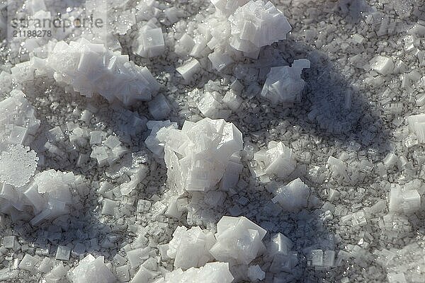 Salt crystals formed on the shores of the pink salt lake. Pink background with the texture of salt crystals