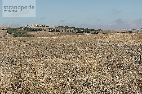 Beautiful view of Tuscany landscape and landmarks. Grapes fields and olive oil. From Montalcino to Montepulciano to Siena. Summer in Italy