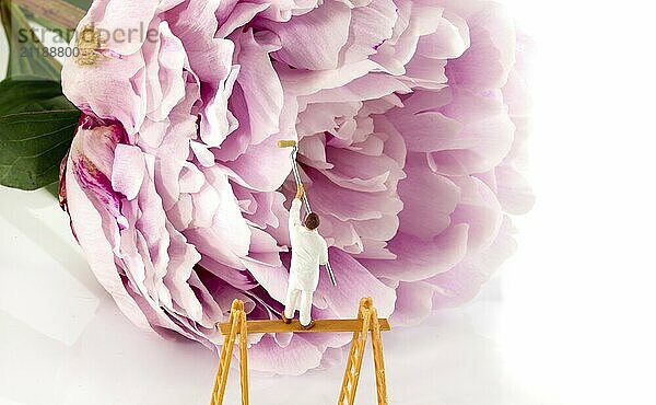 Puppet painter paintinjg the flower pink peony with flower bud isolated on white background