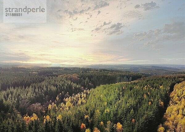 Dramatic aerial sunset over the pine tree forest in autumn in the Ardennes  Belgium. Drone point of view