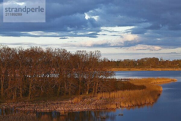 River surrounded by trees under a cloudy sky in the golden evening light  view into the Randow loop of the river Peene in the evening light  wetland biotope with reeds  Naturpark Flusslandschaft Peenetal  Mecklenburg-Vorpommern  Germany  Europe